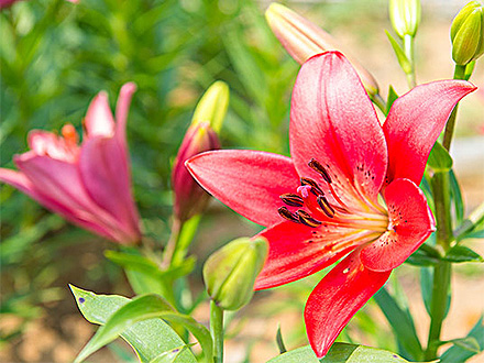 中欧登录入口产品展示一