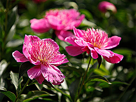 中欧登录入口产品展示三