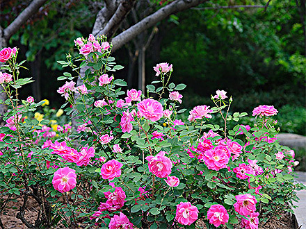 中欧登录入口产品展示五