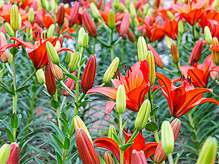 中欧登录入口产品展示七