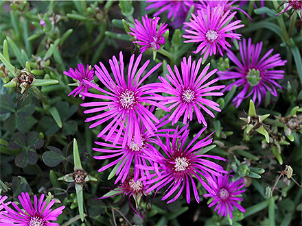 中欧登录入口产品展示六